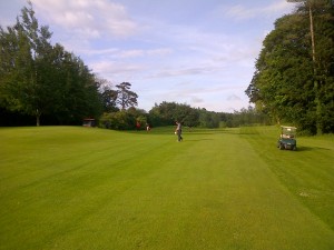 DIVOT REPAIRS 09062014